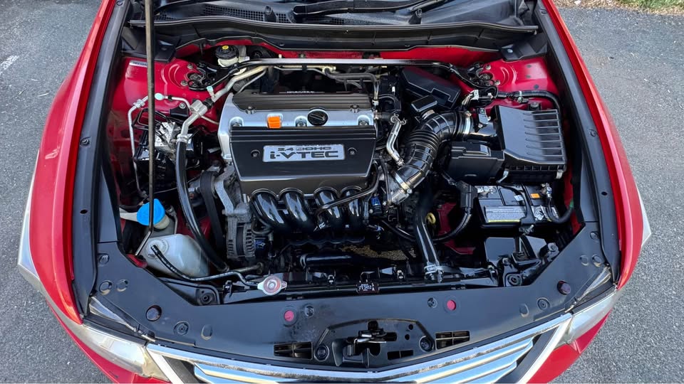 2010 Honda Accord Euro